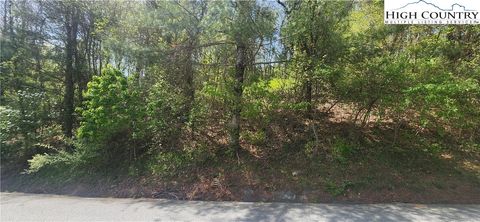 Photo of 547 White Laurel Lane, Boone, NC 28607 (MLS # 255335)