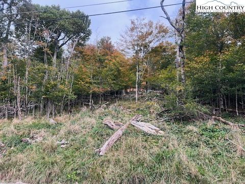 Photo of 120 Raven Road, Beech Mountain, NC 28604 (MLS # 258367)