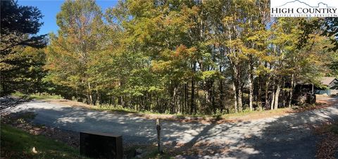 Photo of 120 Raven Road, Beech Mountain, NC 28604 (MLS # 258367)