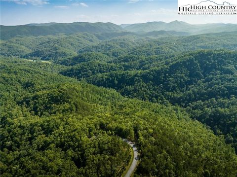 Photo of 1319 Roundleaf Lane, Ferguson, NC 28624 (MLS # 256875)