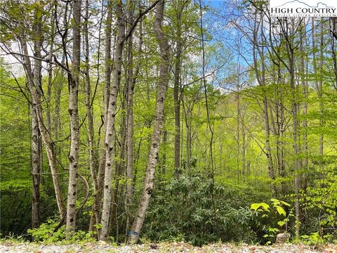 Photo of 117 Deergrass Road Rd, Beech Mountain, NC 28604 (MLS # 249610)