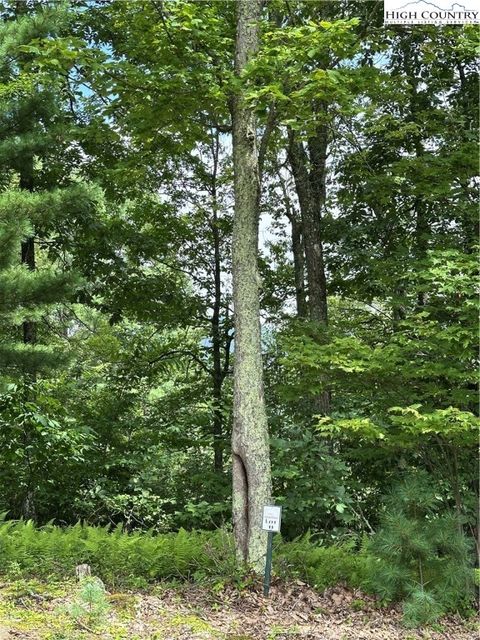 Photo of Lot 17 Sunset Ridge Drive, Boone, NC 28607 (MLS # 257379)