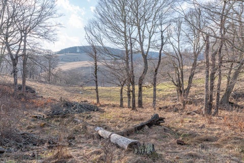 Photo of 26 Great Sky Drive, Banner Elk, NC 28604 (MLS # 264478)