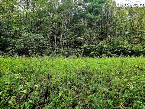 Photo of Lot 6 & 7 N. Old NC Hwy 16, Millers Creek, NC 28651 (MLS # 258209)