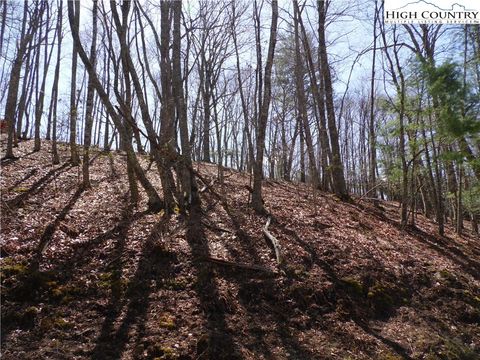 Vacant Land For Sale - #31 & #32 Happy Ridge Road #3132<br/> Alleghany County, Piney Creek, NC 28631