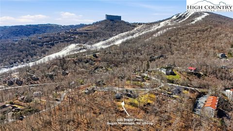 Photo of 323 Sugar Tree Lane, Sugar Mountain, NC 28604 (MLS # 260587)