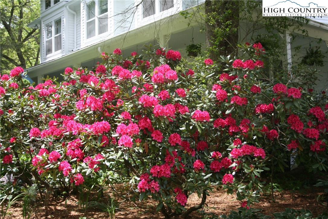 Banner Elk, North Carolina 28604, United States, 7 Bedrooms Bedrooms, ,8 BathroomsBathrooms,Residential,Active,156065