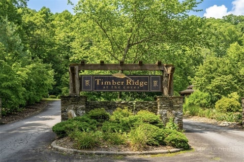 Photo of Lot 62 Bob Timberlake Drive DR, Boone, NC 28607 (MLS # 263943)
