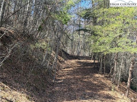 Photo of TBD Lot 30 Shawnee Trail, Jefferson, NC 28640 (MLS # 258153)