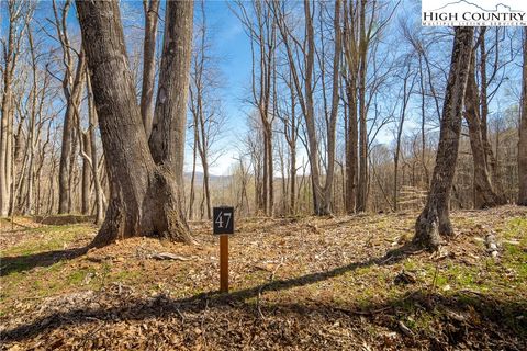 Photo of Lot 47 Poplar Forest Drive, Boone, NC 28607 (MLS # 255030)