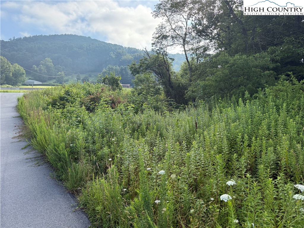 Deep Gap, North Carolina 28618, United States, ,Commercial,Active,188053