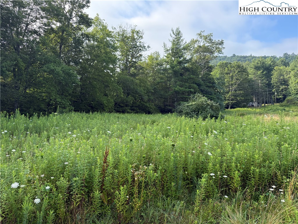 Deep Gap, North Carolina 28618, United States, ,Commercial,Active,188053