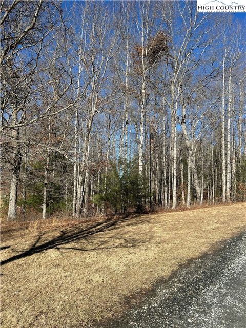 Photo of Lot 23 Bear Den Road, Sparta, NC 28675 (MLS # 259001)