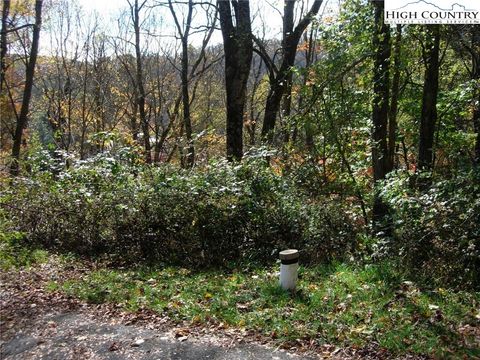 Photo of 7 Sally Street, Boone, NC 28607 (MLS # 234332)