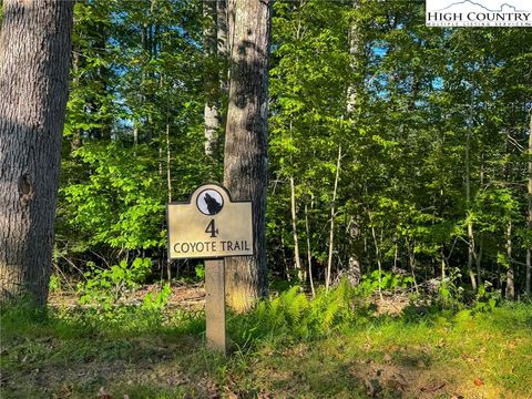 Photo of Lot T4 Coyote Trail, Boone, NC 28607 (MLS # 257936)