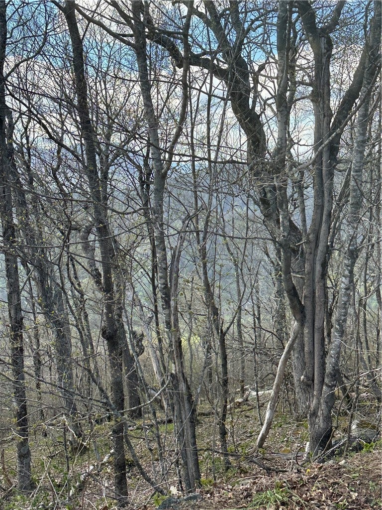 Lot 41 Silver Fox Drive