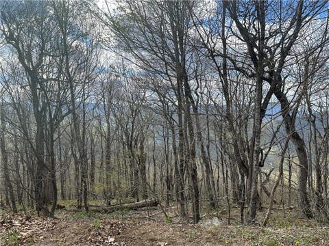 Photo of Lot 41 Silver Fox Drive, Blowing Rock, NC 28605 (MLS # 263918)
