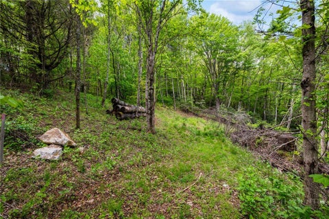 Vacant Land For Sale - LOTS 51 AND 52 Snow Fox Lane #51 AND 52<br/> Avery County, Banner Elk, NC 28604