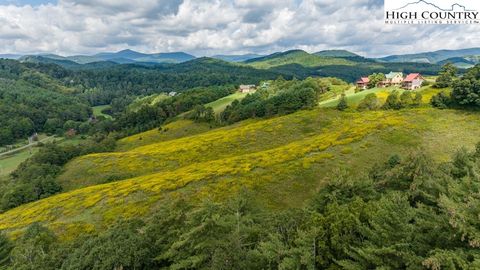 Photo of tbd Cranberry Springs Road, Fleetwood, NC 28626 (MLS # 258759)