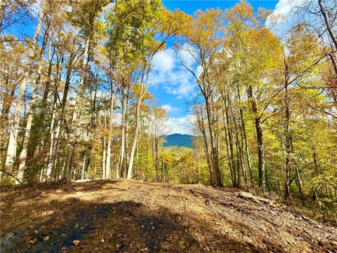 Photo of Lot 6 Cherokee Oaks Lane, Warrensville, NC 28693 (MLS # 264889)