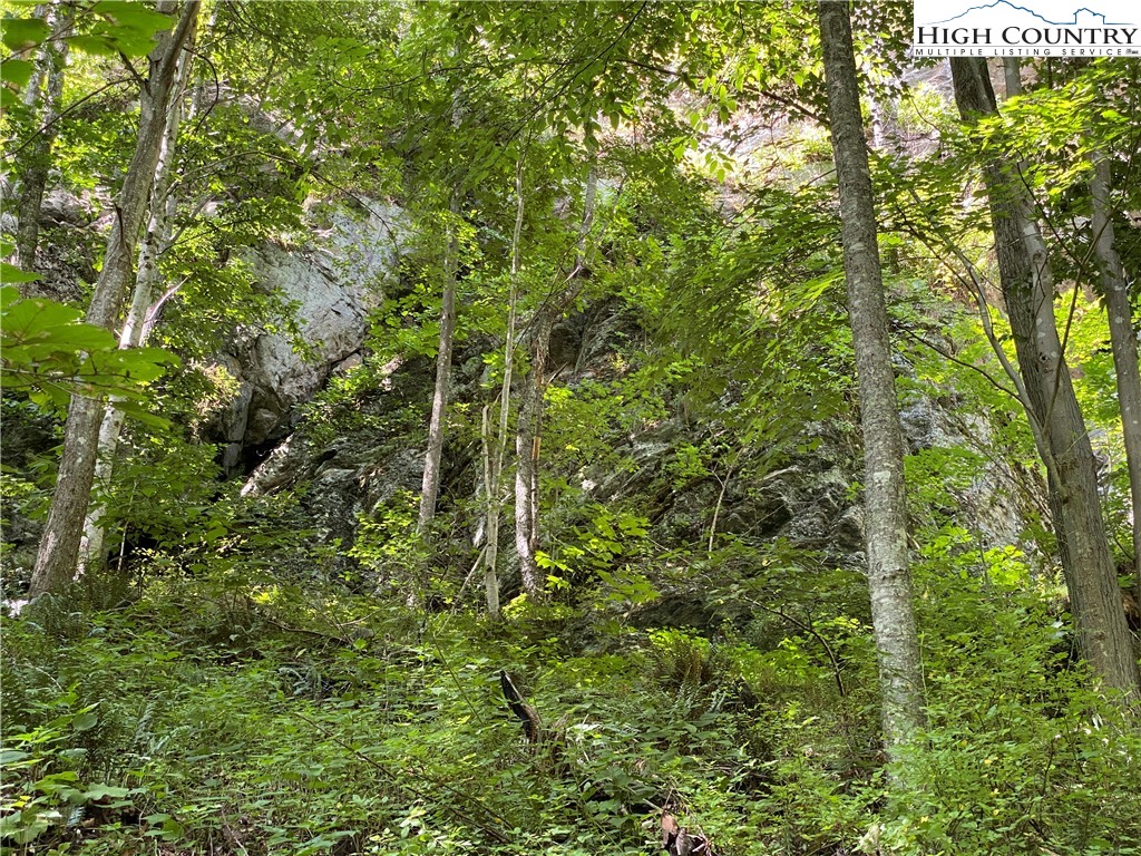 Vilas, North Carolina 28692, United States, ,Land,Active,74467