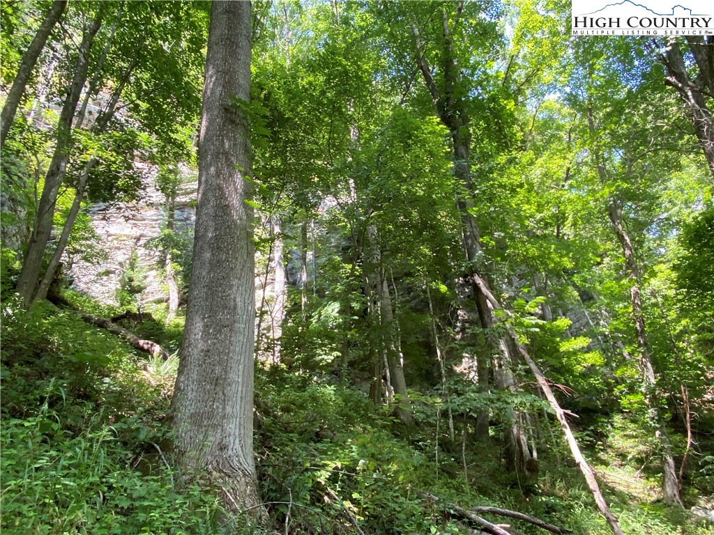 Vilas, North Carolina 28692, United States, ,Land,Active,74467