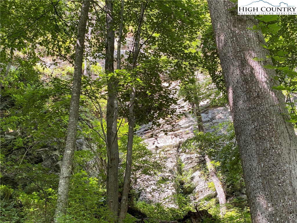 Vilas, North Carolina 28692, United States, ,Land,Active,74467