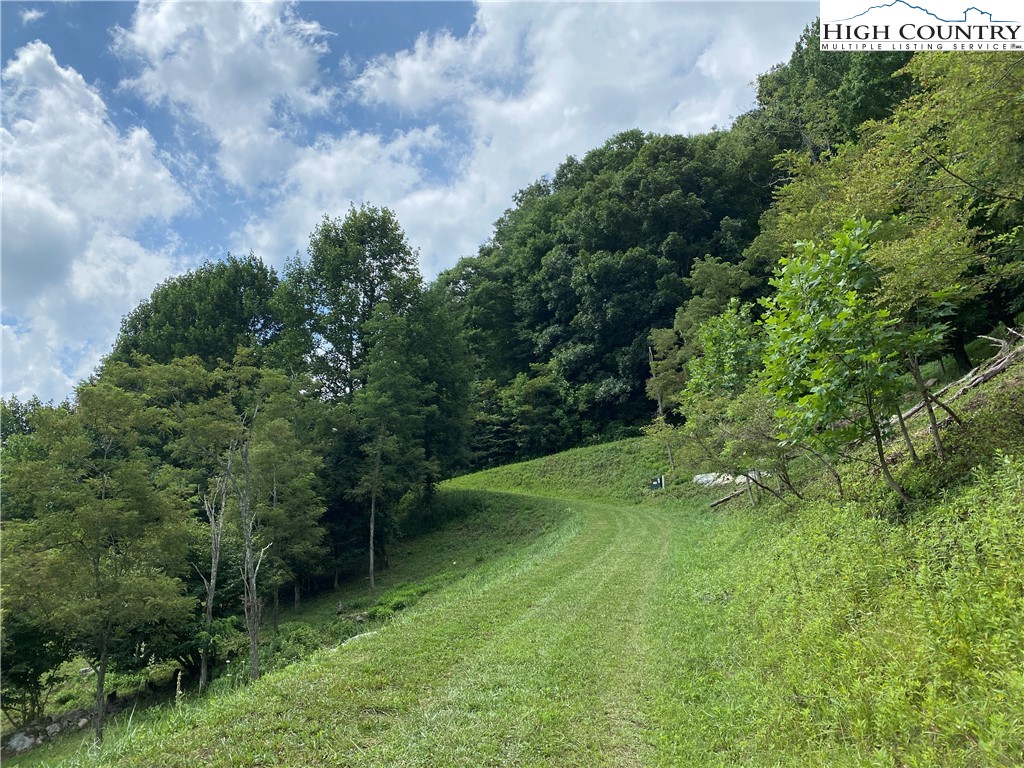 Vilas, North Carolina 28692, United States, ,Land,Active,74467