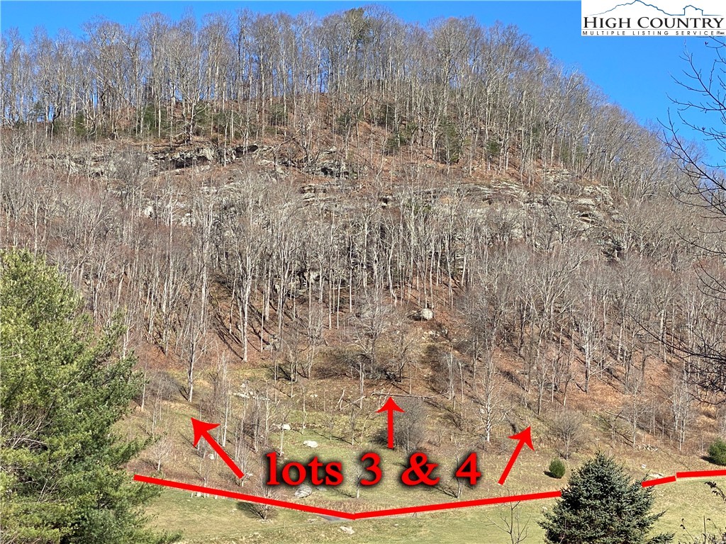 Vilas, North Carolina 28692, United States, ,Land,Active,74467