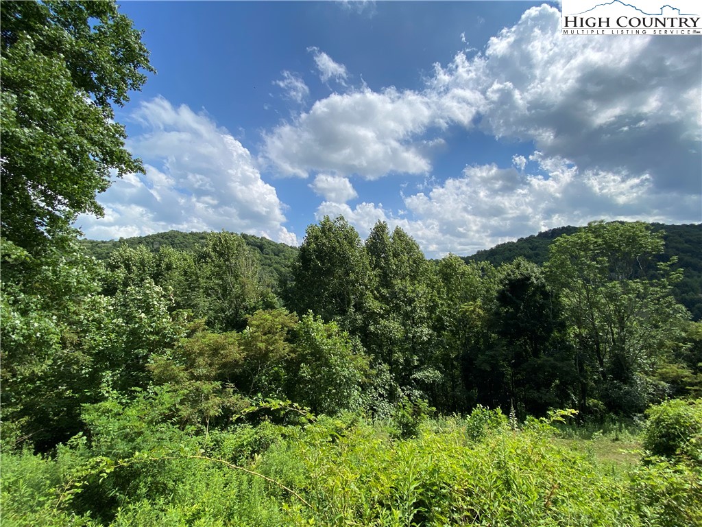 Vilas, North Carolina 28692, United States, ,Land,Active,74467