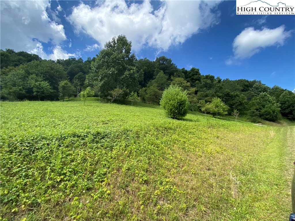 Vilas, North Carolina 28692, United States, ,Land,Active,74467