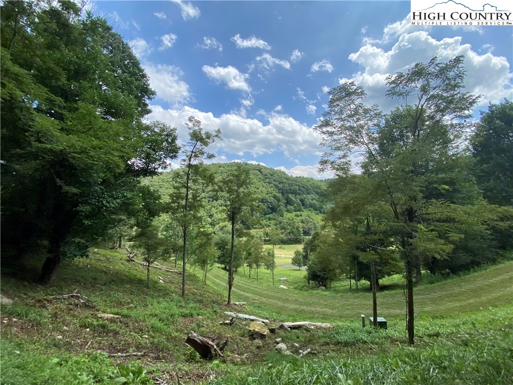 Vilas, North Carolina 28692, United States, ,Land,Active,74467