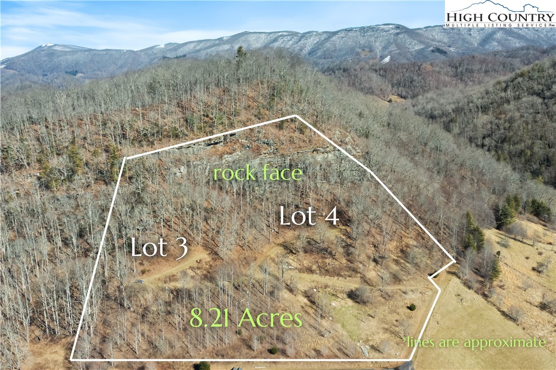 Vilas, North Carolina 28692, United States, ,Land,Active,74467