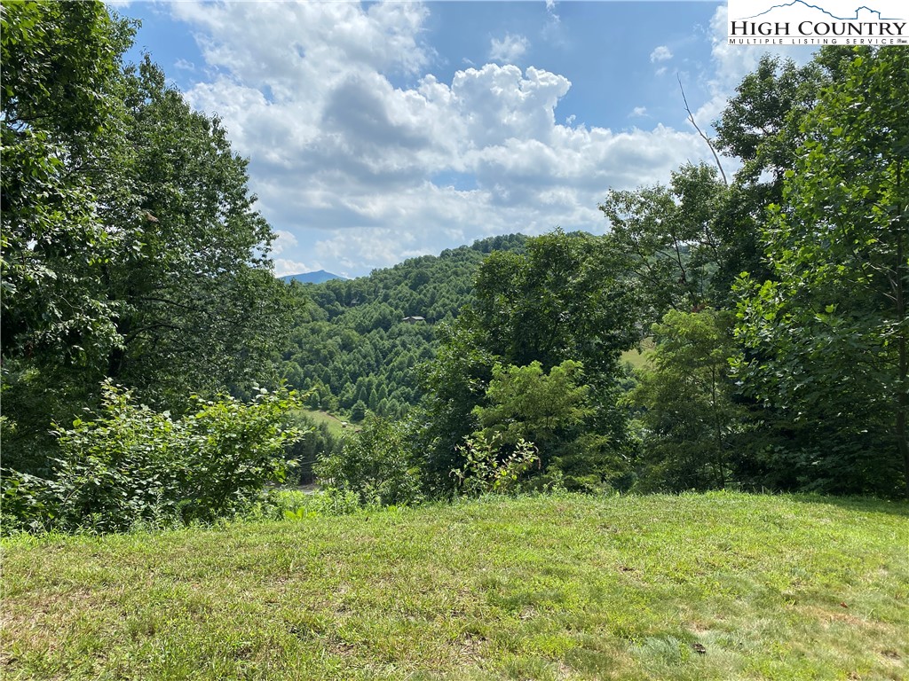 Vilas, North Carolina 28692, United States, ,Land,Active,74467