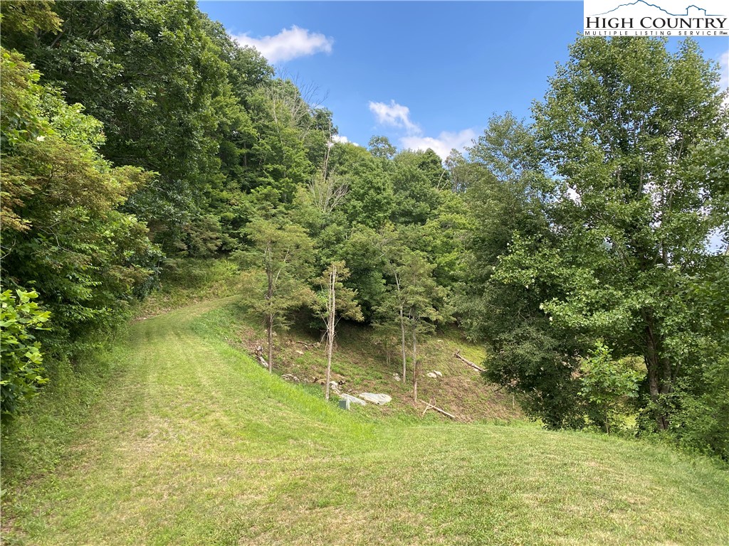 Vilas, North Carolina 28692, United States, ,Land,Active,74467