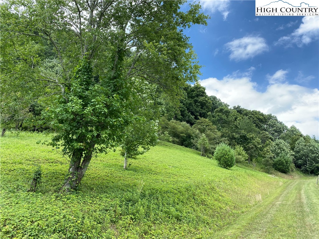 Vilas, North Carolina 28692, United States, ,Land,Active,74467