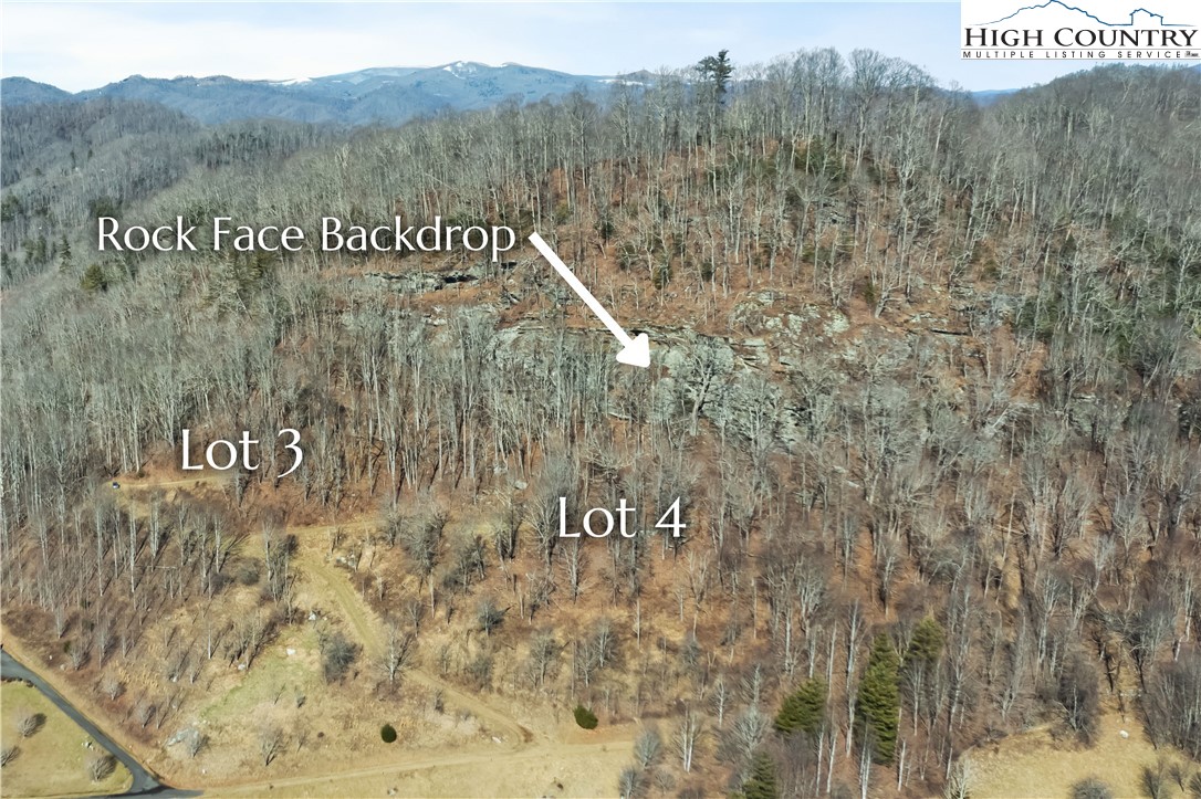 Vilas, North Carolina 28692, United States, ,Land,Active,74467