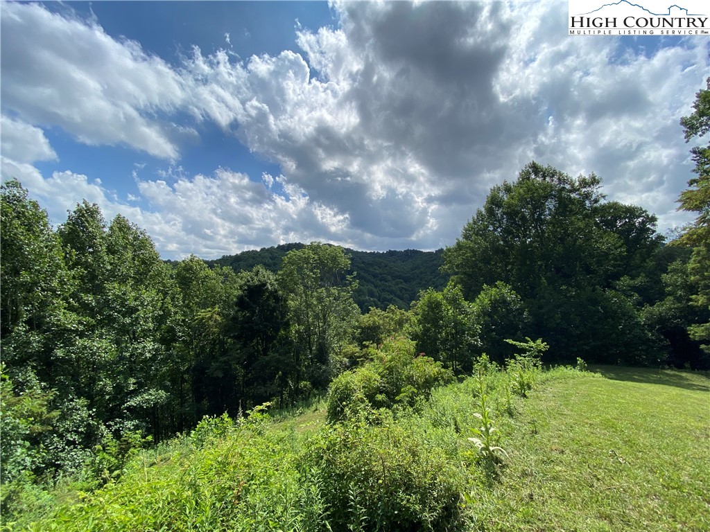 Vilas, North Carolina 28692, United States, ,Land,Active,74467