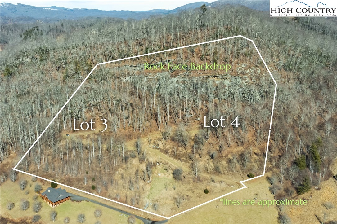 Vilas, North Carolina 28692, United States, ,Land,Active,74467