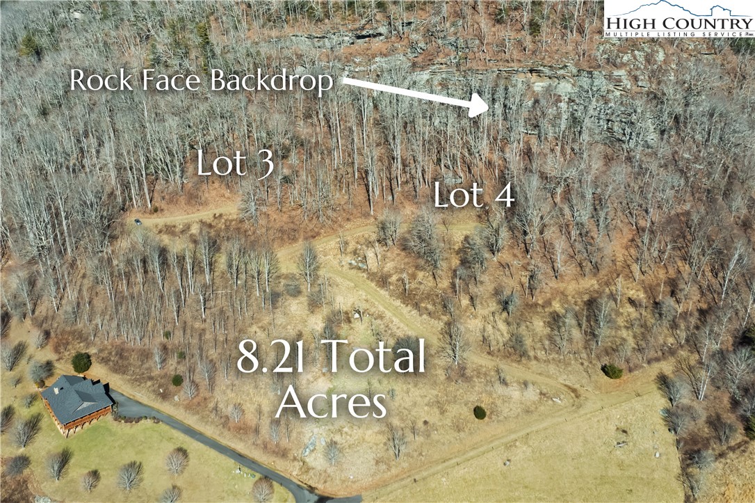 Vilas, North Carolina 28692, United States, ,Land,Active,74467