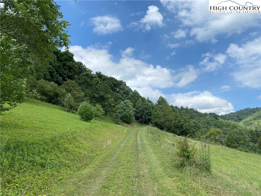 Vilas, North Carolina 28692, United States, ,Land,Active,74467