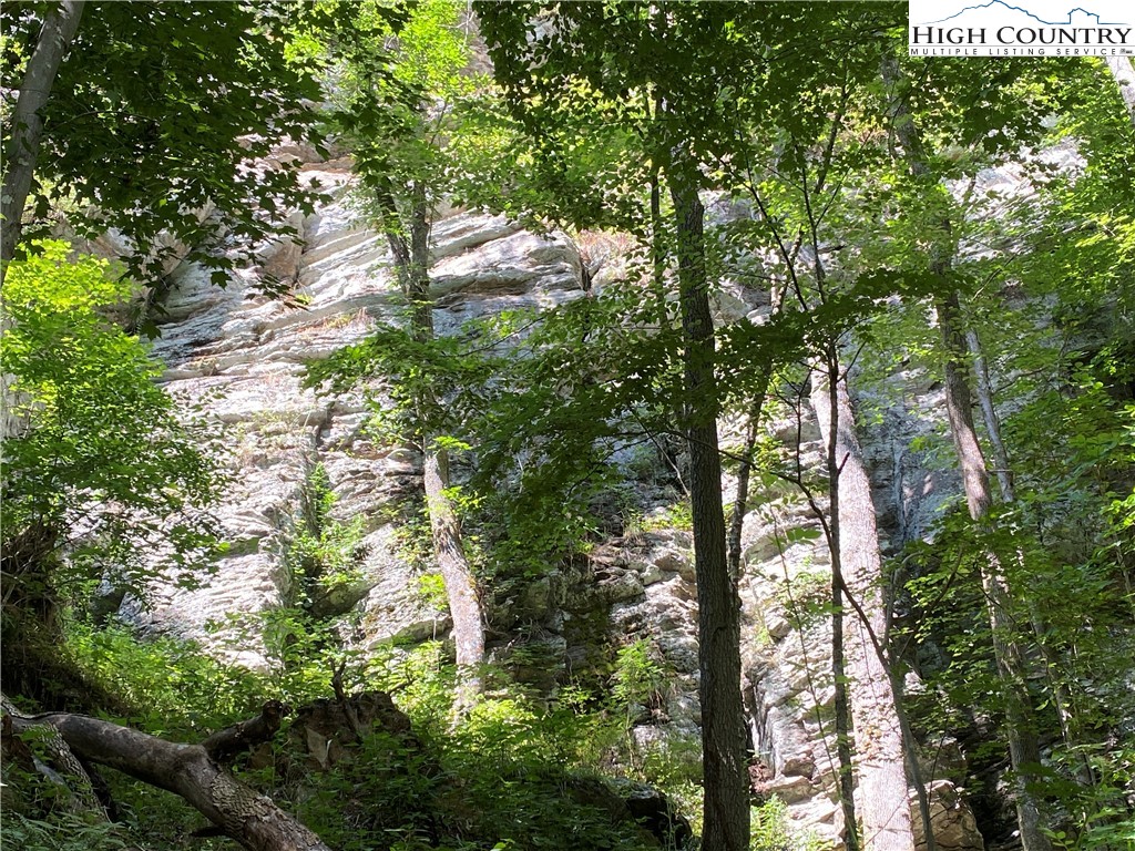 Vilas, North Carolina 28692, United States, ,Land,Active,74467