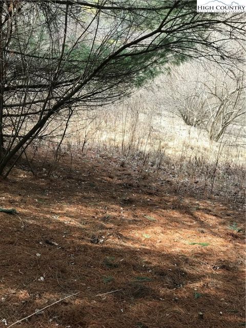 Photo of TBD Deer Path Road, Crumpler, NC 28617 (MLS # 253743)