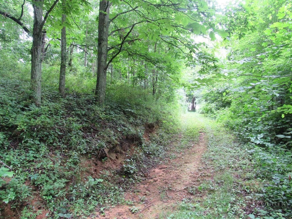 TBD Little Laurel Road