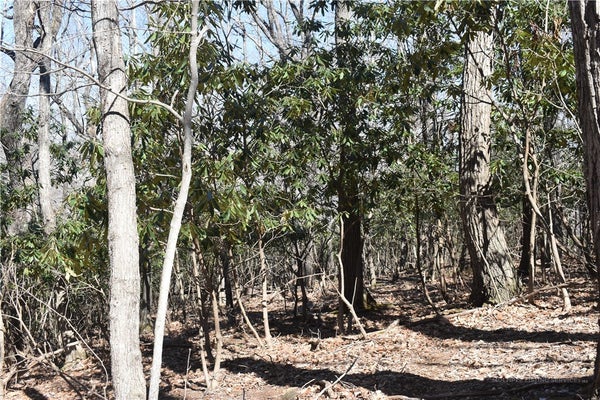 127 HILLSIDE LN, JEFFERSON, NC 28640 - Image bdf8d19b08dc4ce010c29a3fafa90718/296521374