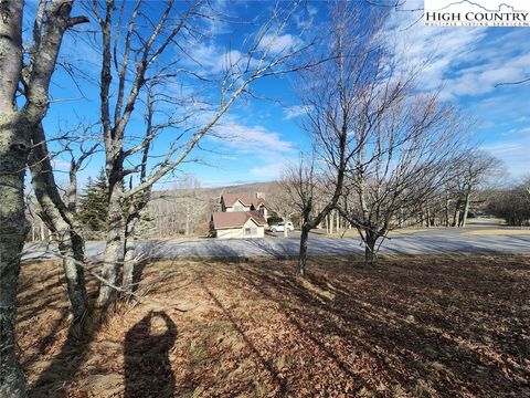 Photo of 101 Larkspur Lane, Beech Mountain, NC 28604 (MLS # 259386)