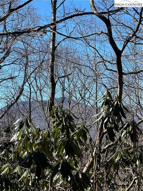 Photo of Lot 306 Misty Ridge Lane, Blowing Rock, NC 28605 (MLS # 254021)