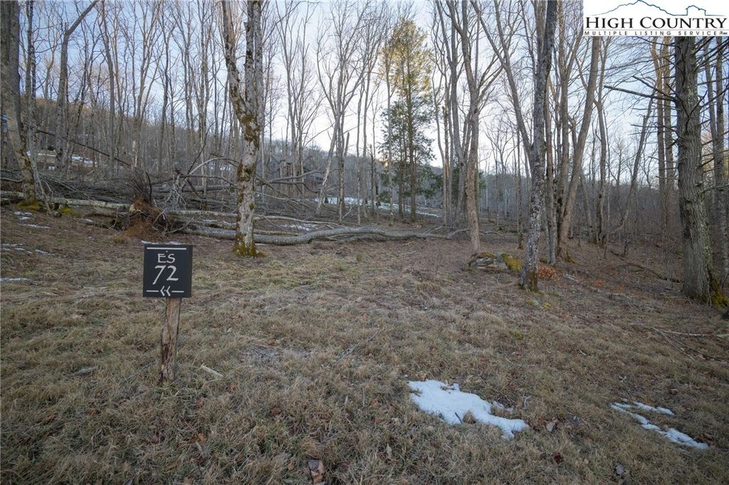 Photo of ES-72 Twisted Oak Path, Beech Mountain, NC 28604 (MLS # 260038)