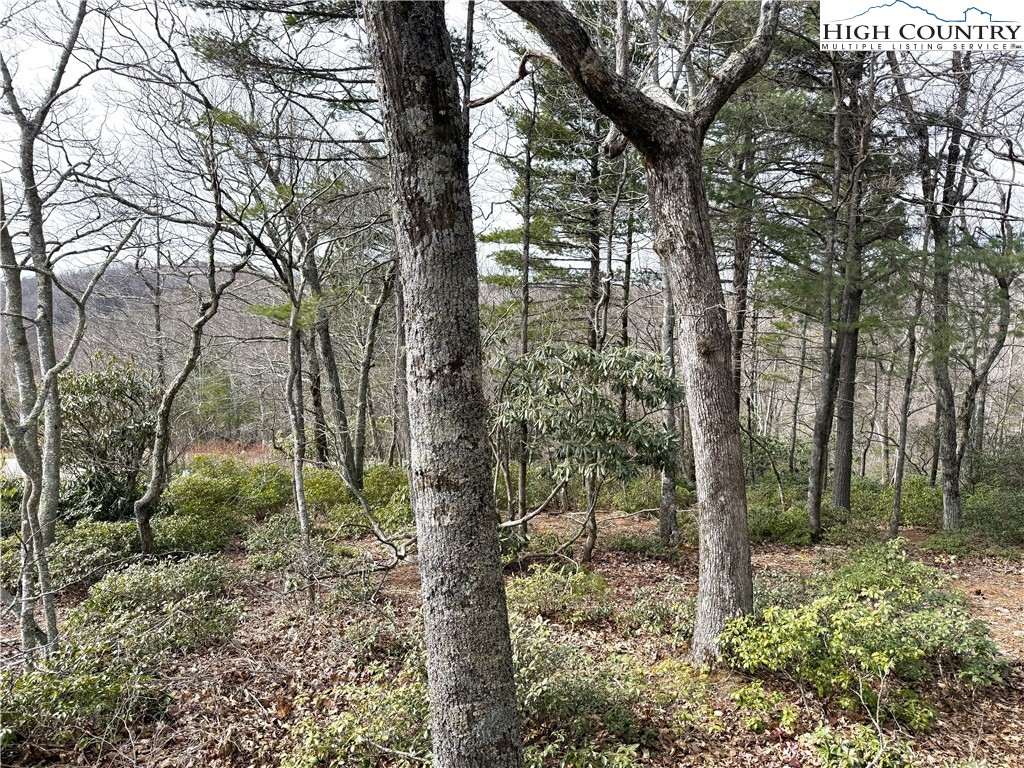 Boone, North Carolina 28607, United States, ,Land,Active,99095