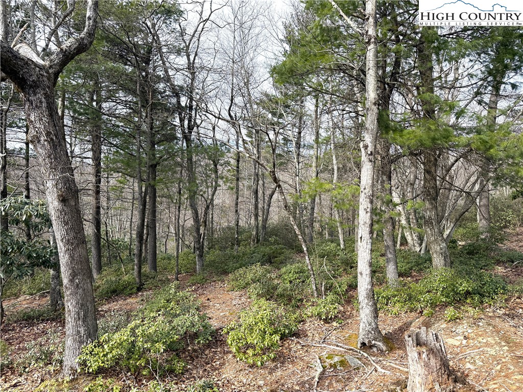 Boone, North Carolina 28607, United States, ,Land,Active,99095